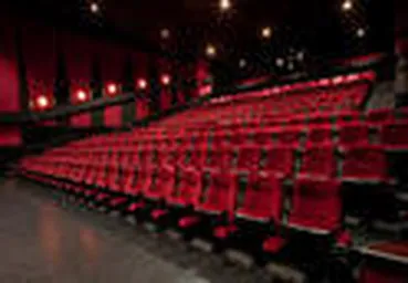 Cinema Multiplex Sitting Chairs